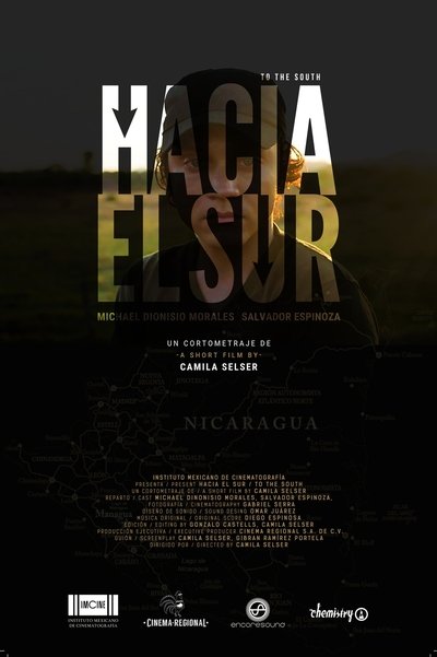 Poster do Filme Hacia el sur