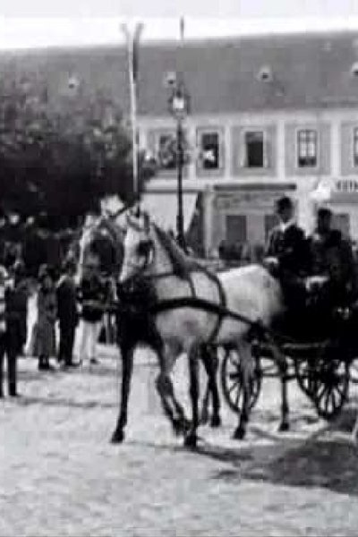 movie poster for The Unveiling of the Monument to Ferenz Rakoczy