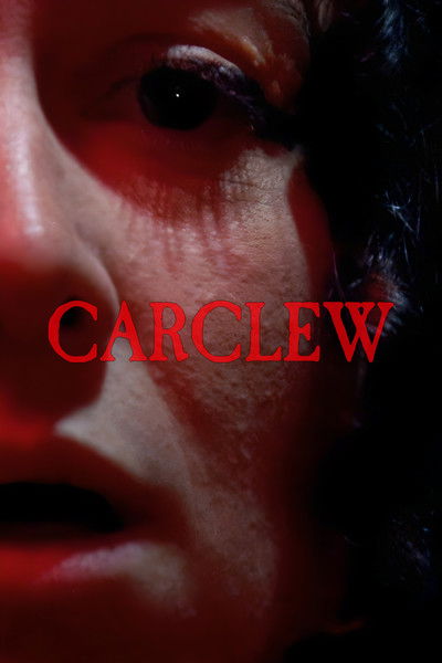 movie poster for Carclew