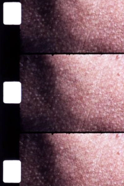 Poster do Filme Carotid Artery