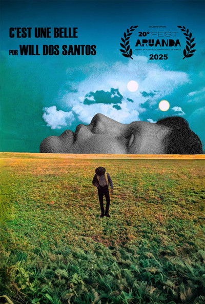 Poster do Filme c’est une belle