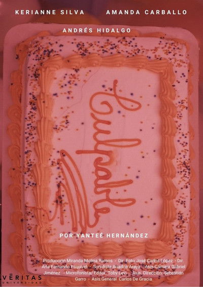 movie poster for Culpable