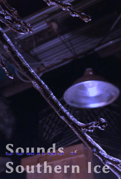 Poster do Filme Sounds Of Southern Ice