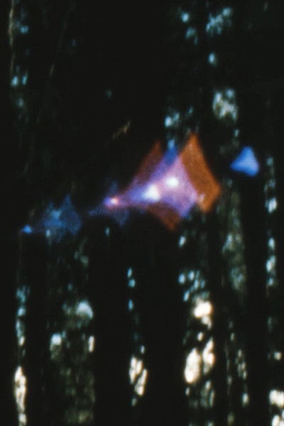 movie poster for i like the unpath best