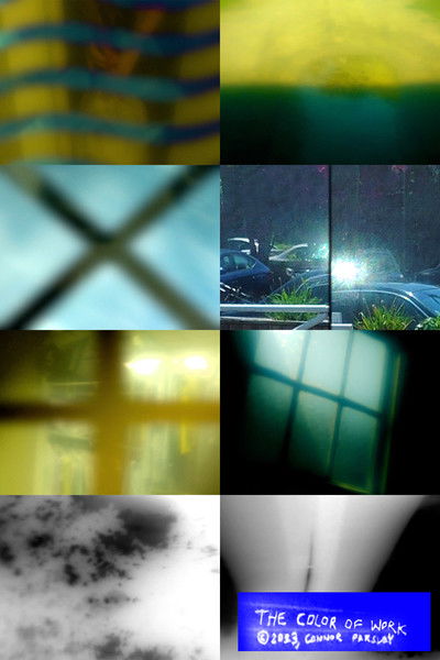 Poster do Filme The Color of Work