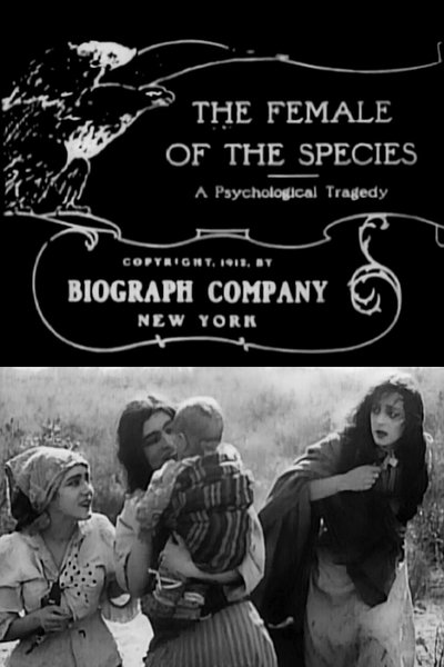 The Female of the Species poster The Female of the Species