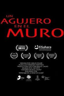 Poster do Filme Un agujero en el muro