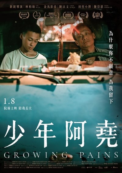 Poster do Filme 少年阿堯