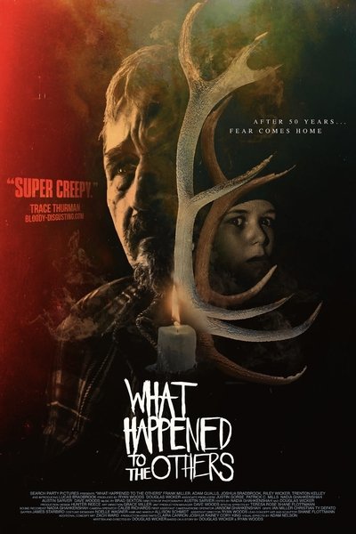 Poster do Filme What Happened to The Others?