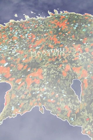 Poster do Filme Maastiku mustrid