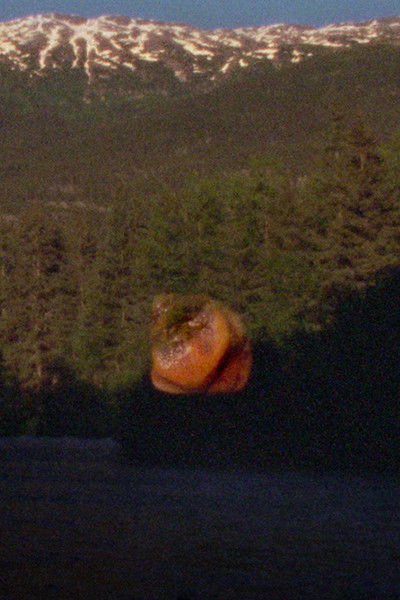 movie poster for See Through the Hollowed Blue Hellebore