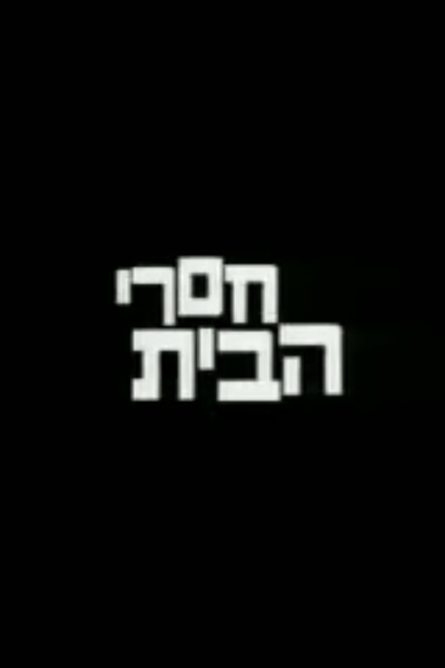 movie poster for Homeless