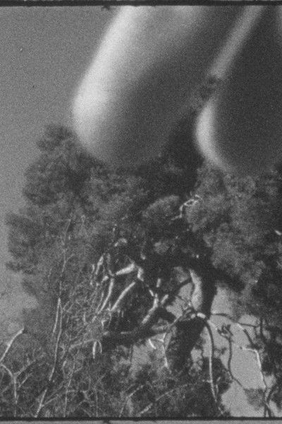 Poster do Filme Un árbol y Cézanne o Cézanne y un árbol