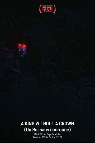 Poster do Filme Un Roi sans couronne