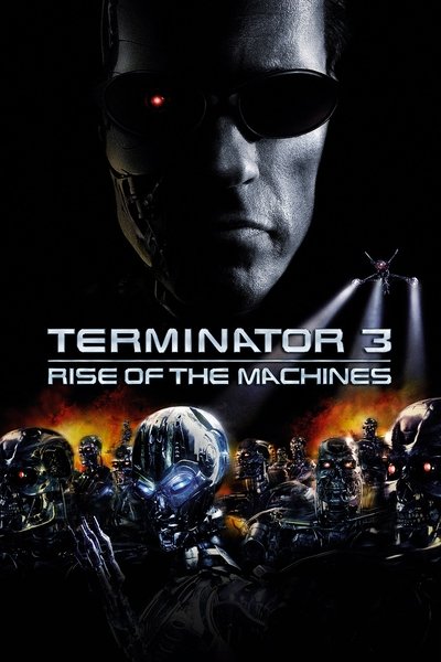 Poster for the movie Terminator 3: Rise of the Machines