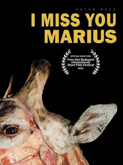 Poster do Filme I Miss You, Marius