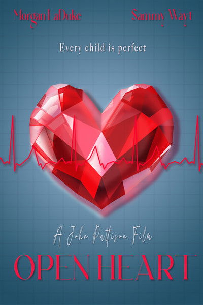 Poster do Filme Open Heart