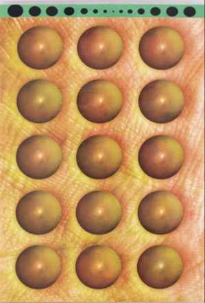 Poster do Filme Savory Selections