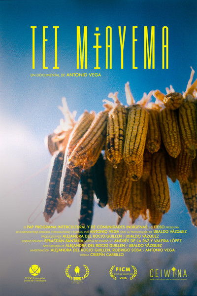 Poster do Filme Tei Mɨayema