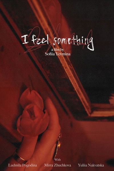Poster do Filme i feel something