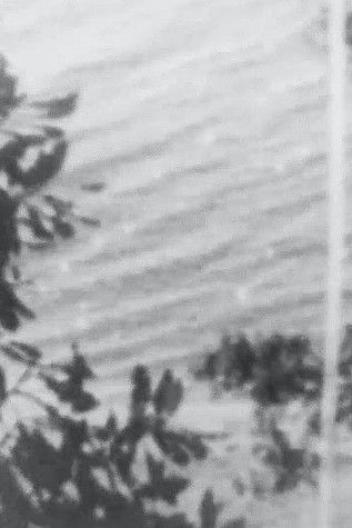 Poster do Filme Point Chevalier Beach