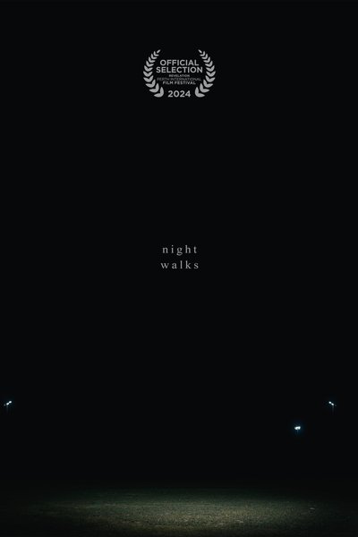 movie poster for Night Walks