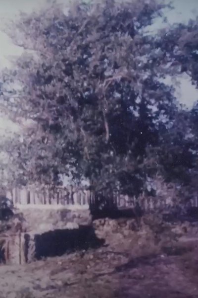 movie poster for Two Women and the Rock Garden