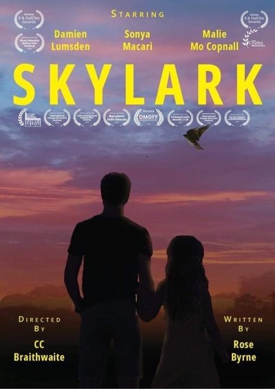 Poster do Filme Skylark