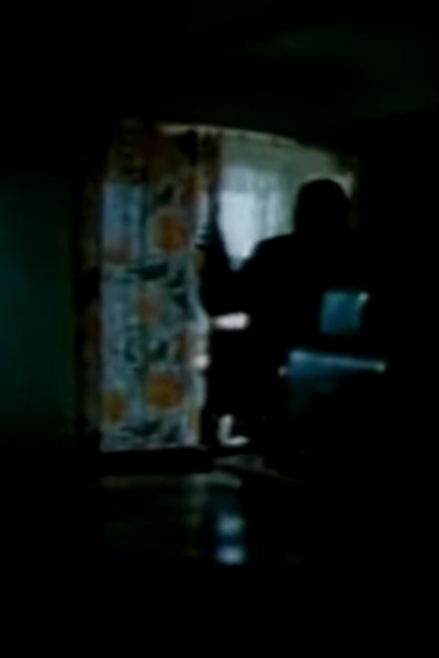 Poster do Filme Przypadek Hermana Palacza
