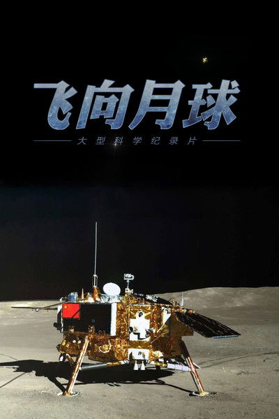 poster for 飞向月球