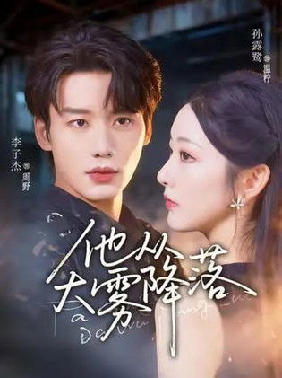 poster for 他从大雾降落