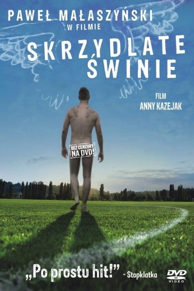 Poster for the movie Flying Pigs
