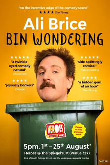 Poster do Filme Ali Brice - Bin Wondering