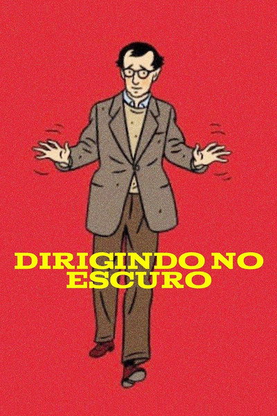 Poster do Filme Dirigindo no Escuro