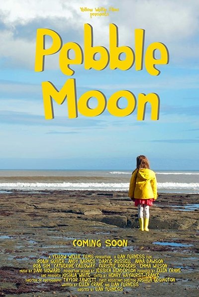 Poster do Filme Pebble Moon