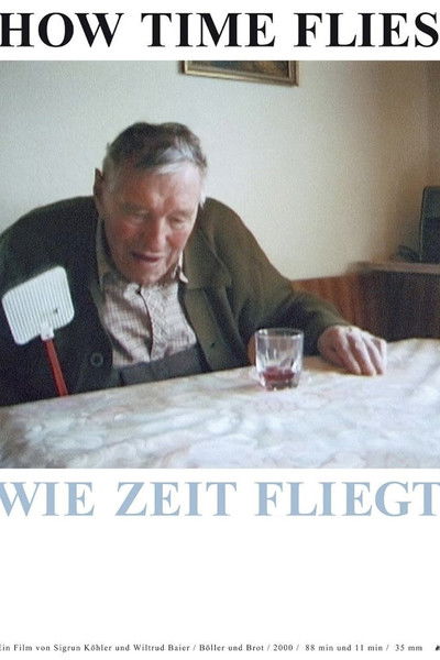 Poster do Filme How Time Flies