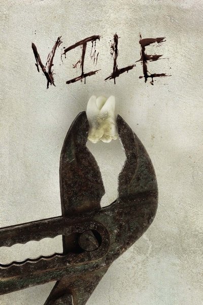 Poster for the movie Vile