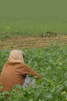 Poster do Filme Life is Suffering. Death is Salvation