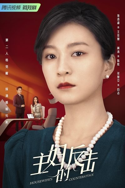 poster for Housewife's Counterattack