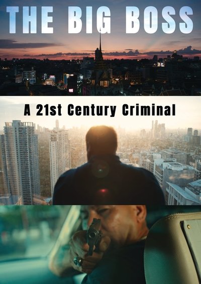 poster for The Big Boss: A 21st Century Criminal