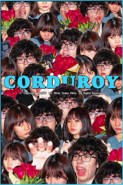 Poster do Filme Corduroy