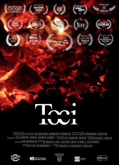 Poster do Filme Toci, nuestra abuela