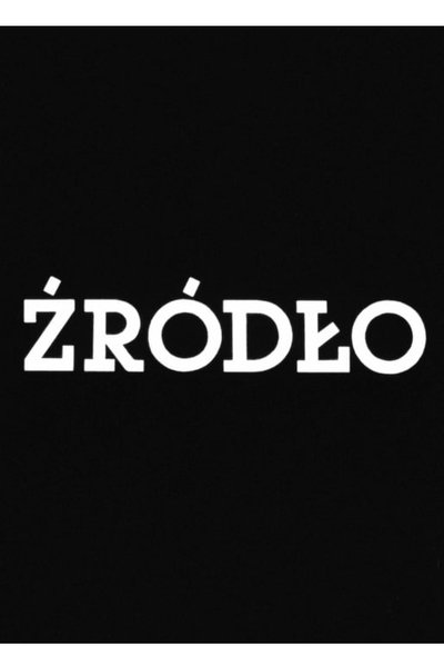 Poster do Filme Źródło