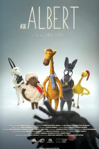 Poster do Filme Albert szerint