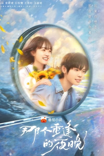 poster for We Shall Meet Again