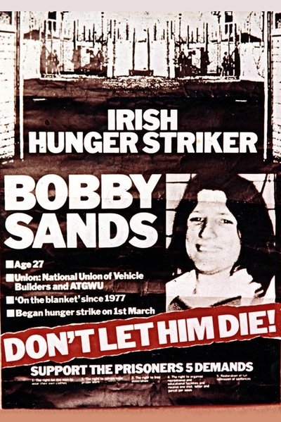 movie poster for The Hunger Strike