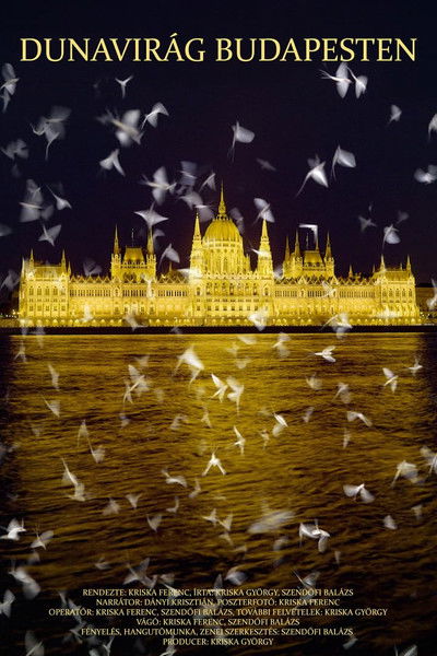Poster do Filme Dunavirág Budapesten