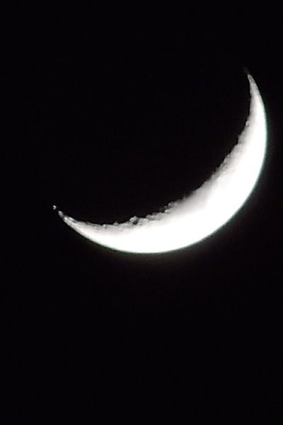 movie poster for Lost on Arrival