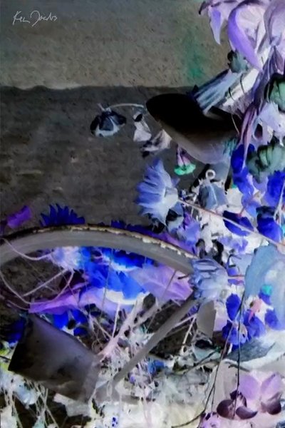 Poster do Filme Flowers and Bike