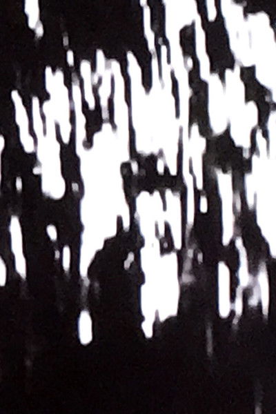 Poster do Filme Landscape